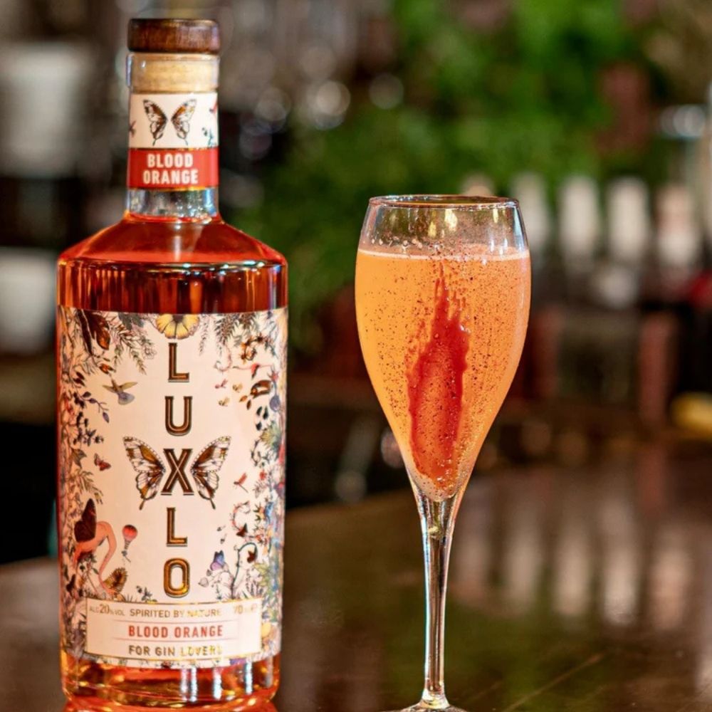 Luxlo Blood Orange - Mid Strength Gin Alternative (20% ABV)